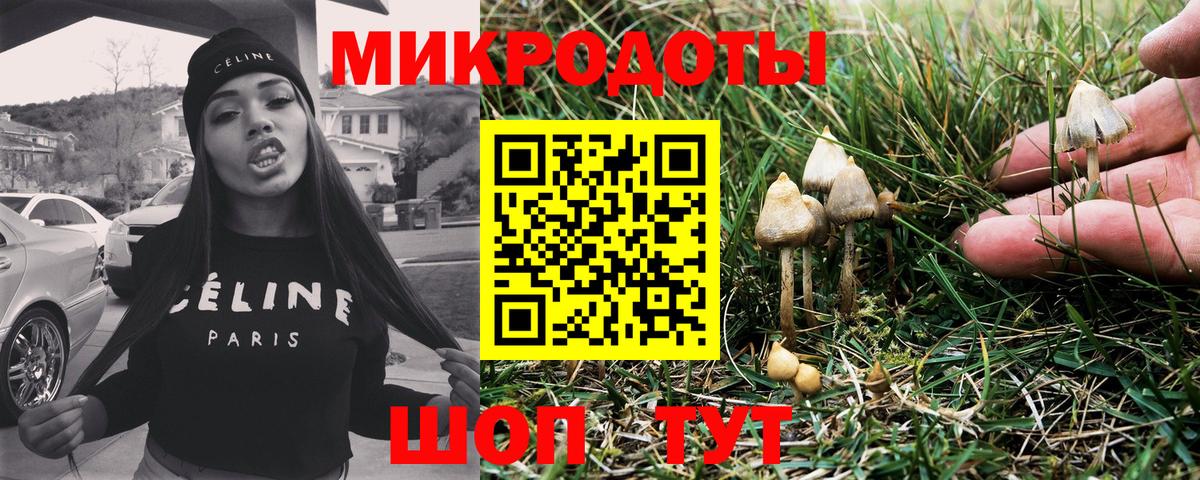 Галлюциногенные грибы мухоморы Лениногорск